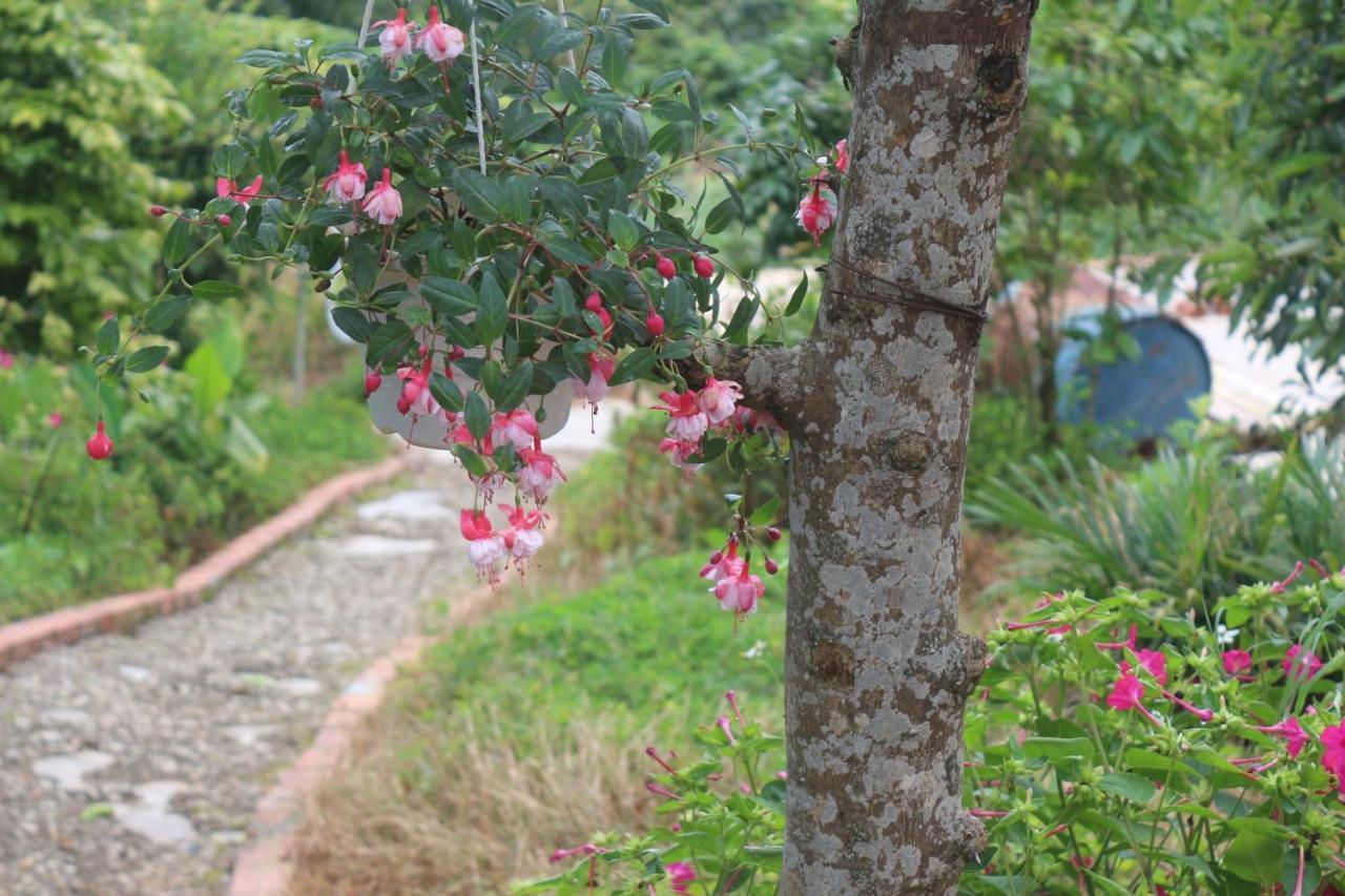 Thang Nam Ruc Ro - Dalat Homestay Eksteriør bilde